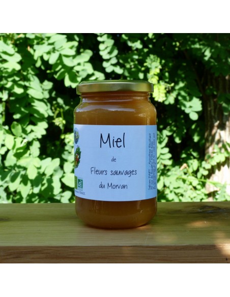Miel de fleurs Sauvages du Morvan bio 500g