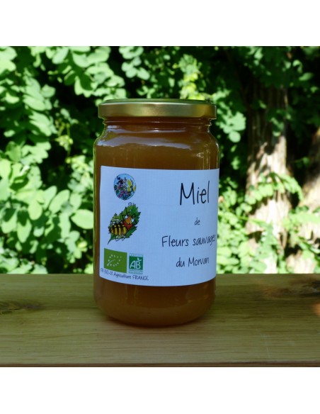Miel de fleurs Sauvages du Morvan bio 500g