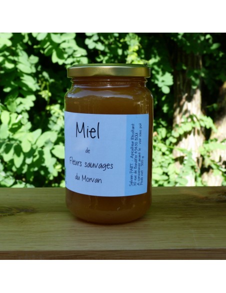 Miel de fleurs Sauvages du Morvan bio 500g
