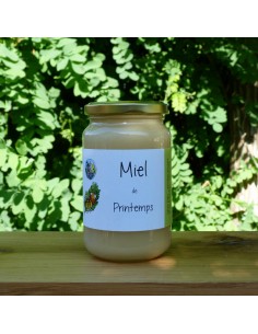 Miel de printemps 500g 2