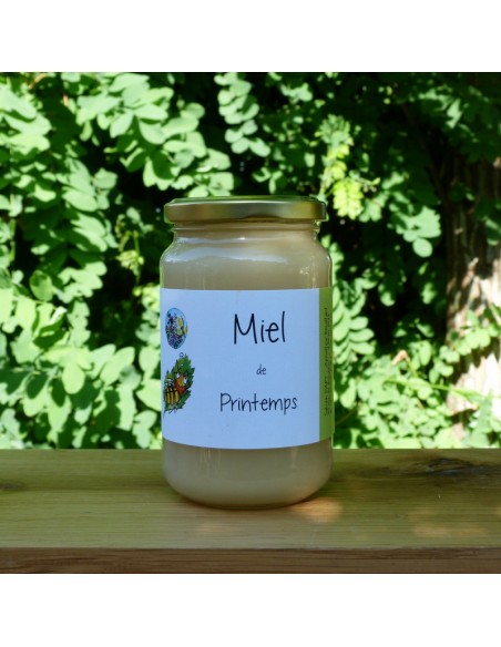 Miel de printemps 500g