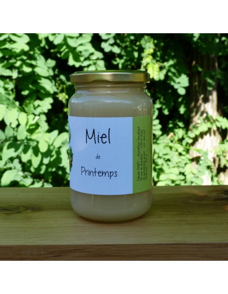 Miel de printemps 500g
